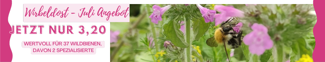 Hey Frühling